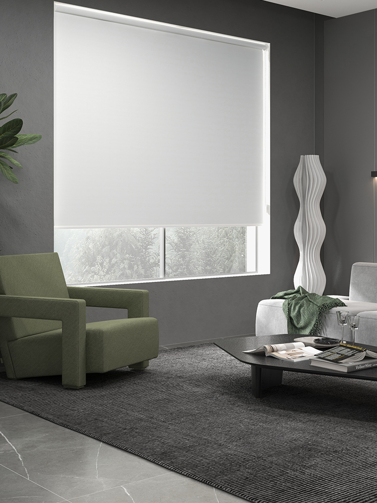White LuxVelum roller shade partially lowered over a living room window